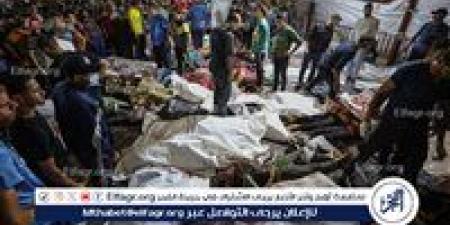 الصحة الفلسطينية: 57338 شهيدًا حصيلة ضحايا القصف الإسرائيلي على غزة - هرم مصر