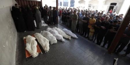 مصادرة ضخمة لأراضي الفلسطينيين تهدد قيام الدولة.. و70 شهيدا في غزة خلال ٢٤ ساعة - هرم مصر