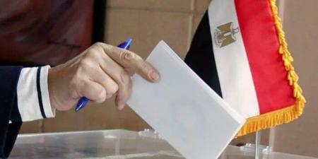 العليا للانتخابات تتسلم أوراق المرشحين لـ الشيوخ ببورسعيد - هرم مصر