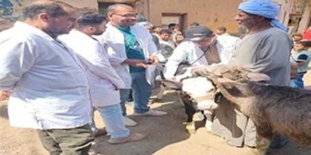 ”الزراعة” تطلق 214 قافلة بيطرية مجانية في 176 قرية خلال يونيو الماضي - هرم مصر