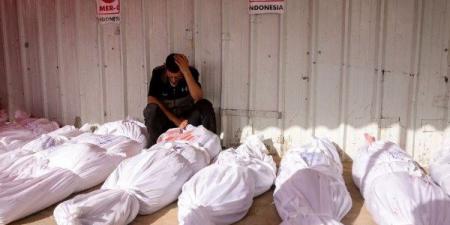 48 شهيدًا بالقطاع منذ فجر اليوم.. قصف إسرائيلي لمدرسة تأوي نازحين بغزة - هرم مصر