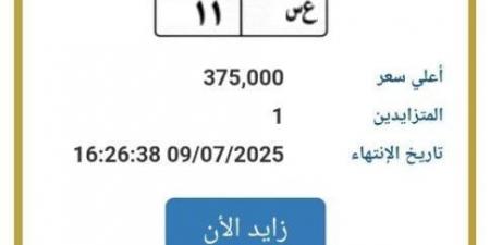 اقتربت من نصف مليون جنيه.. «المرور» تطرح التزايد على لوحة سيارة مميزة - هرم مصر
