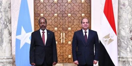 السيسي: المباحثات مع الرئيس الصومالي شهدت نقاشًا معمقا حول القضايا الثنائية - هرم مصر