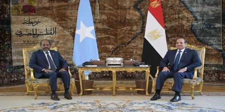 الرئيس السيسى يناقش مع نظيره الصومالى مشاركة مصر العسكرية فى بعثة الاتحاد الأفريقى - هرم مصر
