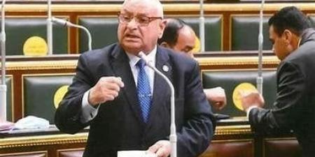 في ختام دور الانعقاد الخامس.. برلماني: هدفنا «أغلبية ومعارضة» مصلحة الوطن والمواطن - هرم مصر