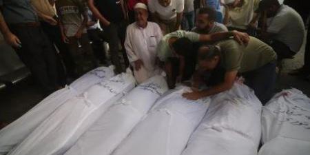 استشهاد 100 فلسطيني وإصابة 382 اخرين في غزة خلال 24 ساعة - هرم مصر