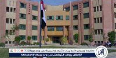 التعليم الرقمي جسر العودة: "مدرستك في مصر" تربط أبناء الجاليات المصرية بهويتهم الوطنية - هرم مصر