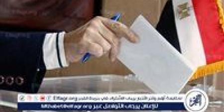 قبل سويعات من انطلاقها|كل ما تريد معرفة عن انتخابات مجلس الشيوخ 2025 - هرم مصر
