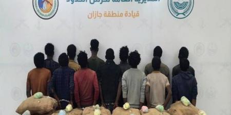 القبض على (13) مخالفًا لتهريبهم (260) كجم من القات  بـالدائر - هرم مصر