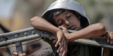 يونيسف: 112 طفلا يدخلون دائرة سوء التغذية يوميا فى قطاع غزة - هرم مصر