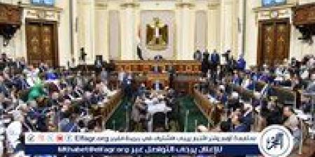 متى يتم رفع الحصانة عن عضو مجلس النواب؟.. القانون يجيب - هرم مصر