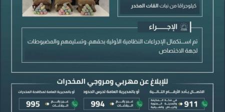 القبض على 6 مخالفين بعسير لتهريبهم 90 كلجم من نبات القات - هرم مصر