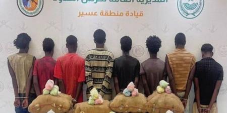 القبض على (8) مخالفين لتهريبهم (120) كجم من القات بـالربوعة - هرم مصر