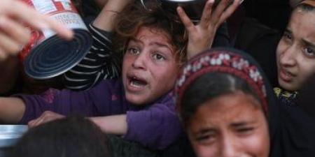 استشهاد 3 فلسطينيين بينهم شهيدان من طالبي المساعدات شمال قطاع غزة - هرم مصر