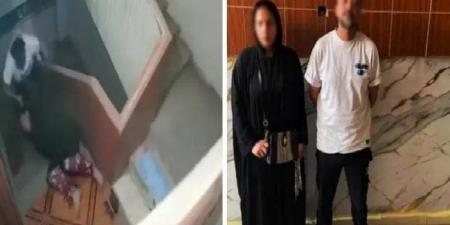ضبط موظف وزوجته لتعديه على زوجة شقيقه وسحلها في الشرقية - هرم مصر