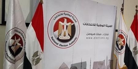 رئيس النقض يؤكد أهمية دور الهيئة الوطنية للانتخابات في ضمان نزاهة الاستحقاقات الانتخابية - هرم مصر