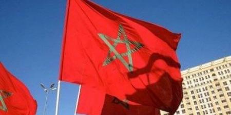 المغرب.. اكتشاف أسنان متحجرة لديناصورات عملاقة فى مدينة بولمان - هرم مصر