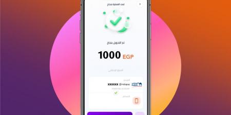 في ثوانٍ معدودة.. خطوات سداد فواتير الكهرباء والمياه والغاز عبر إنستاباي - هرم مصر