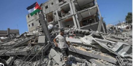 برلماني: الدور المصري ركيزة أساسية في جهود وقف العدوان على غزة - هرم مصر