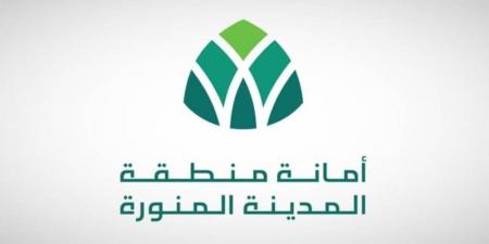 أمانة المدينة المنورة تبحث سبل تطوير الخدمات العقارية بالمنطقة - هرم مصر