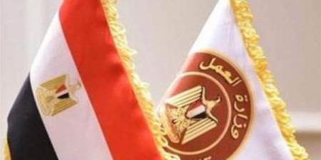 1500 وظيفة شاغرة برواتب تصل لـ9000 جنيه.. وزارة العمل تكشف التفاصيل - هرم مصر