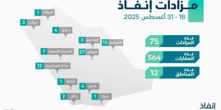 مركز إنفاذ يقيم 75 مزادًا لبيع 564 أصلًا - هرم مصر