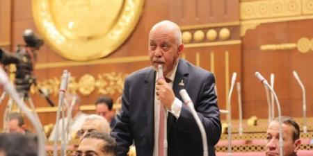 النائب حازم الجندي: نجاح الوساطة «المصرية - القطرية» خطوة حاسمة لإنهاء معاناة غزة - هرم مصر
