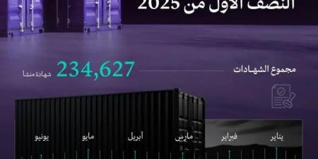 وزارة الصناعة تصدر 234 ألف شهادة منشأ خلال النصف الأول من 2025 - هرم مصر