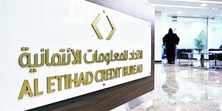 مؤشر تحصيل الشيك.. أداة لتعزيز الثقة المالية بالإمارات - هرم مصر