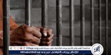 نيابة السنبلاوين..حبس المتهم بالاعتداء على سيدة طنامل وسرقتها - هرم مصر