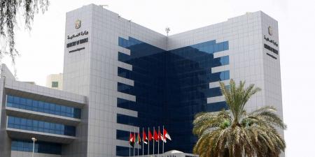 وزارة المالية تدعم برنامج القيمة الوطنية المضافة - هرم مصر
