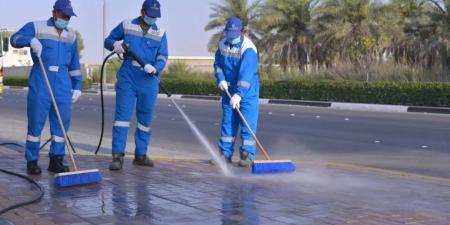3899 موظفا يراقبون إزالة 25 مليون طن نفايات - هرم مصر