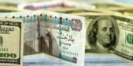 سعر الدولار مساء اليوم الثلاثاء 19-8-2025 - هرم مصر