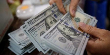 سعر الدولار مقابل الجنيه خلال التعاملات الصباحية اليوم الثلاثاء 19 أغسطس - هرم مصر