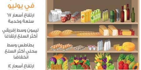 انخفاض أسعار 97 سلعة وخدمة يوليو الماضي - هرم مصر