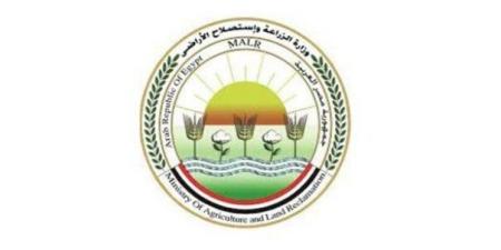 قصة نجاح وطنية.. «الزراعة» تراجع خطط مواجهة السحابة السوداء بالشرقية - هرم مصر