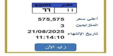 سعرها تخطى النصف مليون جنيه.. خطوات التزايد على لوحة سيارة مميزة - هرم مصر