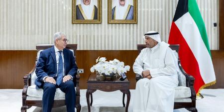 وزير الخارجية يستقبل سفير مصر بمناسبة انتهاء مهام عمله لدى الكويت - هرم مصر