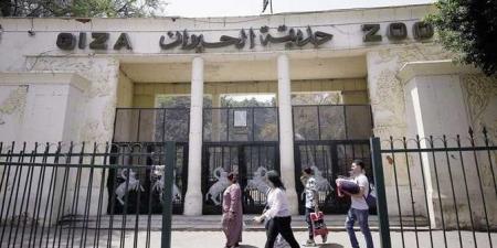 حديقة الحيوان 2025 بعد التطوير.. ماذا قال وزير الزراعة أسعار التذاكر؟ - هرم مصر