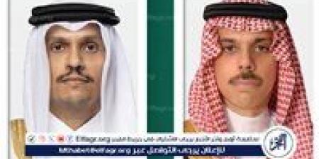 وزير الخارجية ونظيره البحريني يبحثان آخر التطورات الإقليمية والدولية - هرم مصر