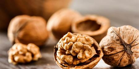 5 فواكه مجفّفة دواء في غذاء .. ما هي؟ - هرم مصر