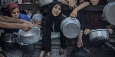 الأونروا: 10% من الأطفال الذين جرى فحصهم في غزة يعانون من سوء التغذية - هرم مصر