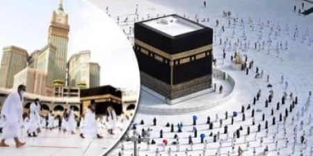 الخدمات المتاحة للمعتمر عبر منصة"نسك عمرة" - هرم مصر