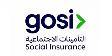 التأمينات الاجتماعية تطلق حملة لتعزيز الوعي بأهمية الاشتراك في نظامها التأميني - هرم مصر