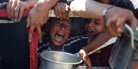 الشوا: قطاع غزة يعيش أسوأ كارثة إنسانية في ظل القصف والنزوح الجماعي - هرم مصر