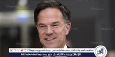 روته: الناتو زود كييف بأسلحة أمريكية بقيمة 1.5 مليار دولار خلال الشهر الماضي - هرم مصر