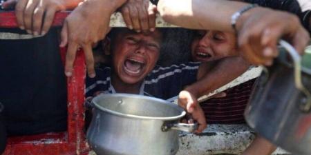 «حشد» تطالب المجتمع الدولي بتدخل إنساني حاسم لضمان وقف حرب الإبادة في غزة - هرم مصر