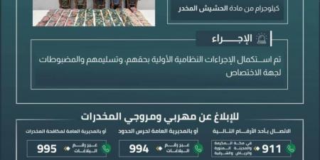 القبض على 5 مخالفين بجازان لتهريبهم 55.4 كلجم من مادة الحشيش - هرم مصر