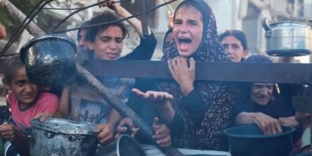 بريطانيا المجاعة في غزة فضيحة أخلاقية وكارثة صنعها الإنسان - هرم مصر
