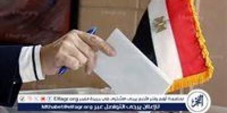 تعرف على موعد انتخابات جولة الإعادة لمجلس الشيوخ بالخارج - هرم مصر